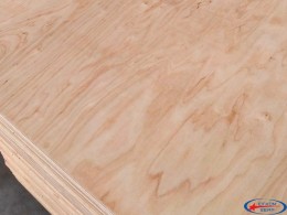 Фанера ФСФ шліфована 2500х1250х21 мм 3/3 (CP/CP) Ш2 Jager		